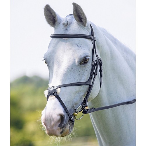 Shires velociti grackle bridle - grackle,