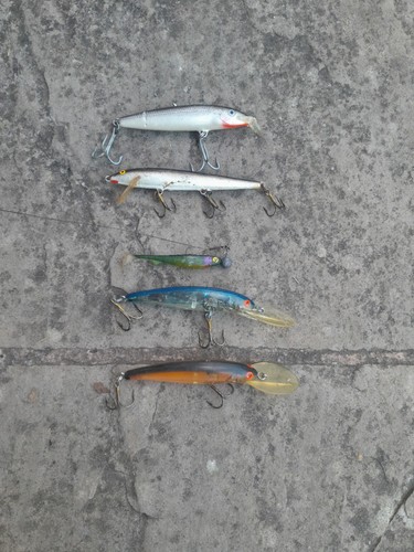 Fishing lures fox - lures., fox,
