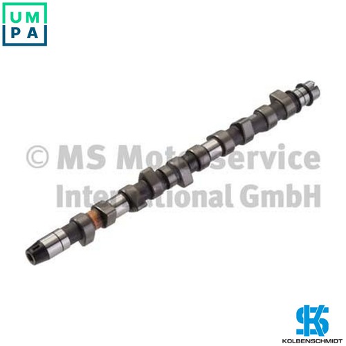Camshaft 50006283 for - camshaft,