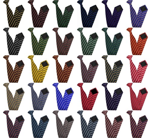 Junior school clip tie - school,