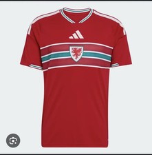 Wales Fans Shirt  & arm badges