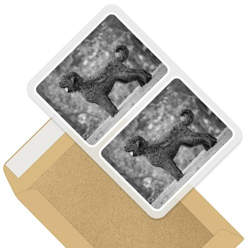 Rectangle stickers 7 5cm - 2,