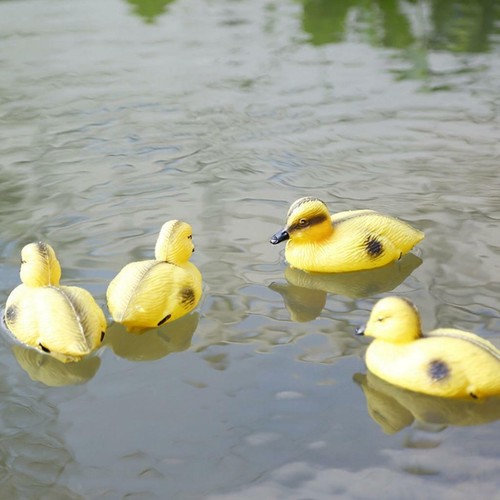 Pack floating duck - pack-4,