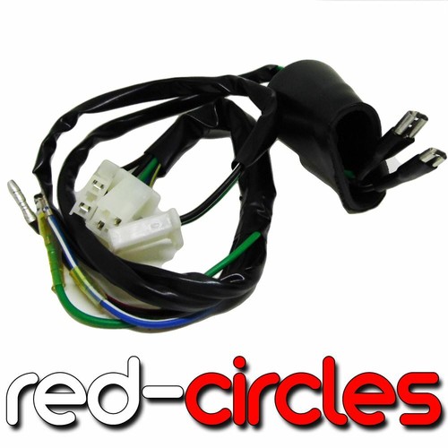 Pit bike wiring - bike,