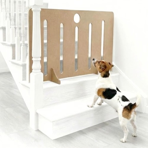 Dog stopper for stairs - dog, gate