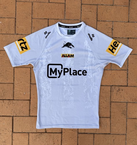 2025 penrith panthers training - 2025,