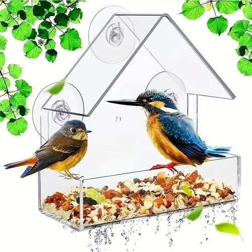 Glass window bird - glass,