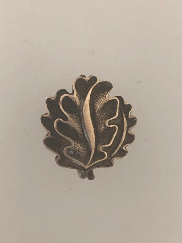 German ww2 oakleaves the - to,