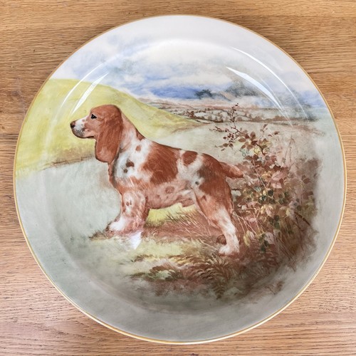 Royal doulton seriesware plate - doulton,