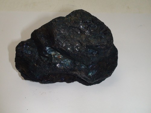 Anthracite coal peacock - coal,