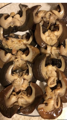 Fresh frozen small snails - small, 10
