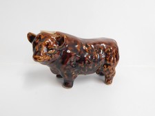 Rutherford miniature bull cow - bull,
