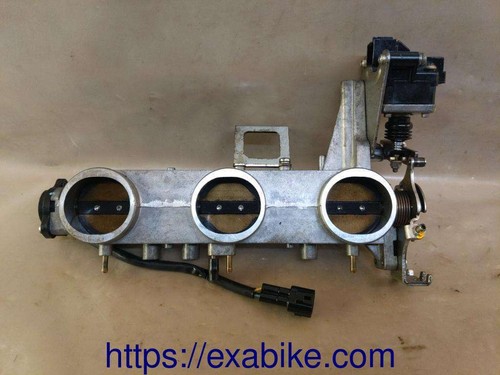 Butterfly body for triumph - butterfly,