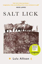 Salt Lick: Longlisted for the Women's Prize for Fiction 2022 by Lulu Allison The