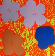 Flowers Poppy Series Sunday