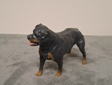 Rottweiler Dog Hard Plastic