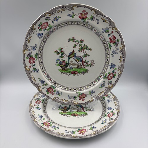 Vintage copeland spode - x,