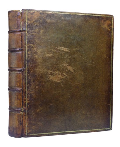 Observations upon the - observations,