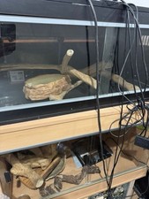 3ft Vivariums For Sale