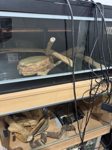 3ft vivariums for sale - vivariums,