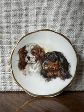 Mini Plate Cavalier King