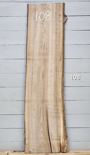 Elm live edge timber 1350mm - live,