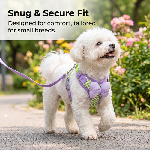 Dog harness for - dog, small