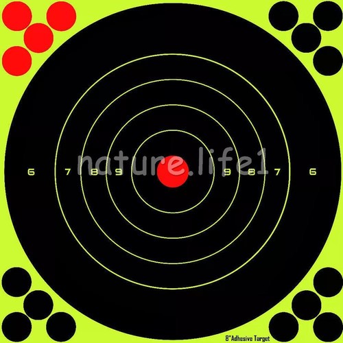 50pcs splatter target - 50pcs,