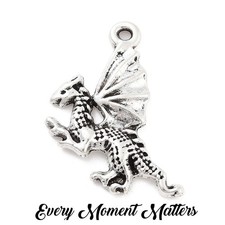Tibetan silver dragon - x,
