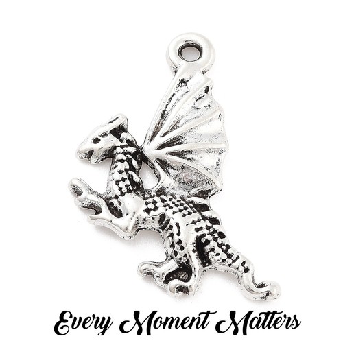 Tibetan silver dragon - 10,