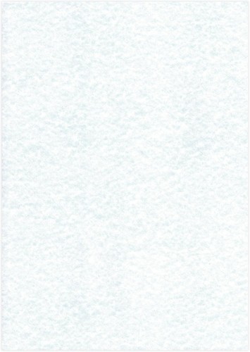 Archival parchment paper - parchment,