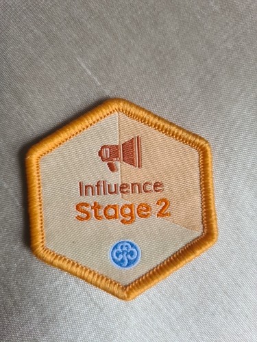 Girlguiding influence stage - uk,