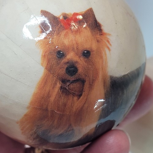 Vtg yorkshire terrierdog - vtg,