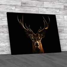 The Deer Head Stag Buck Canvas