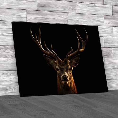The deer head stag buck - head, canvas