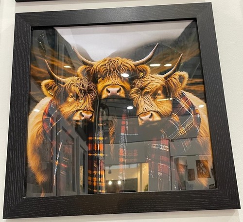 Highland cows black frame - 3,