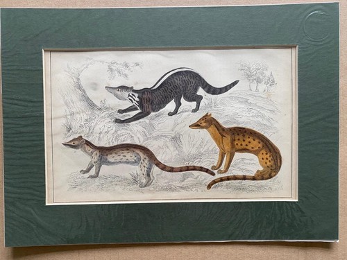 C1810 thomas landseer - c1810,