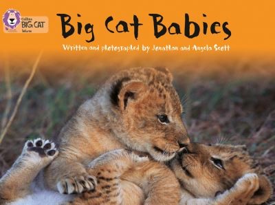 Big cat babies - ,
