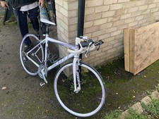 Scott Woman’s Roadster