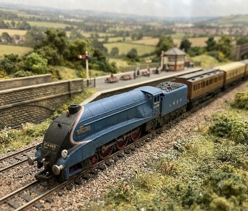 Gauge scale mallard steam - z,