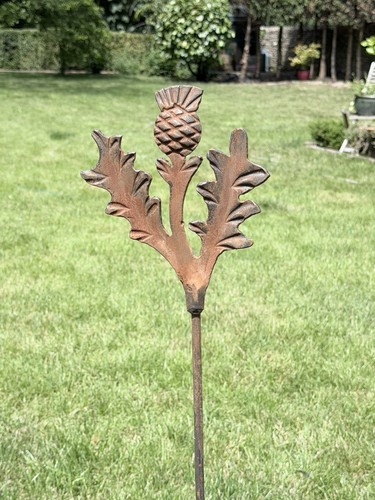 Metal scottish thistle garden - scottish,