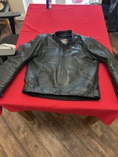 Alpine stars Leather Suit