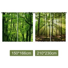 Jungle Wild Nature Flourishing