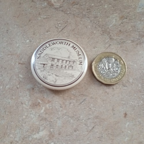Pin badge saddleworth - badge,