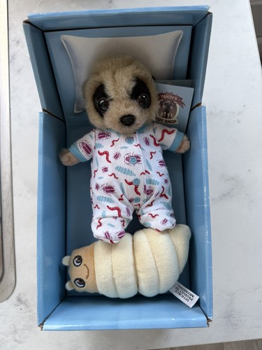 Baby oleg meerkat - meerkat, with