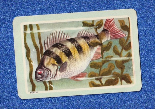 Vintage woolworths fish - vintage, swap