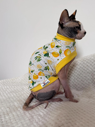 Cotton sphynx cat shirt - sphynx, t-shirt