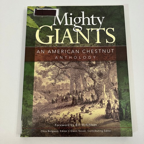 Mighty giants american - mighty,