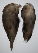 Complete set of Bronze Mallard