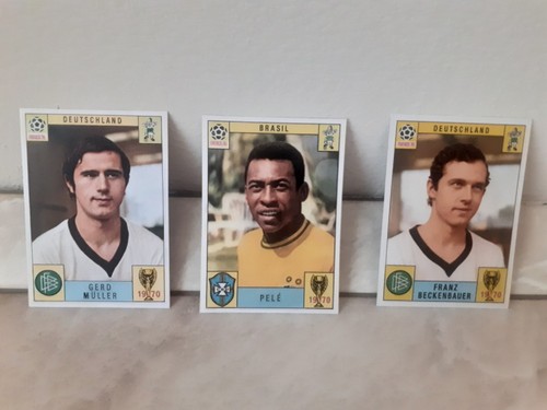Panini mexico skin - panini,
